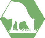 <b>GrazingPRO</b><br>Genetics to improve profitability of grass-based systems